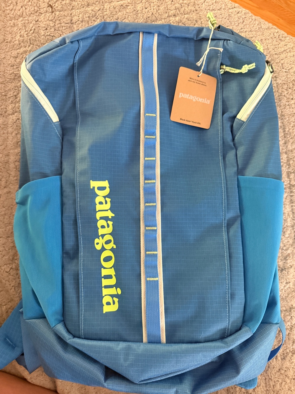 Patagonia black hole 25L in Vessel Blue NWT